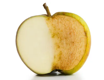 Why do apple slices turn brown after being cut? | Scientific American