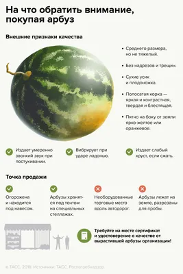 Арбуз на изолированном белом фоне, долька арбуза Stock Vector | Adobe Stock