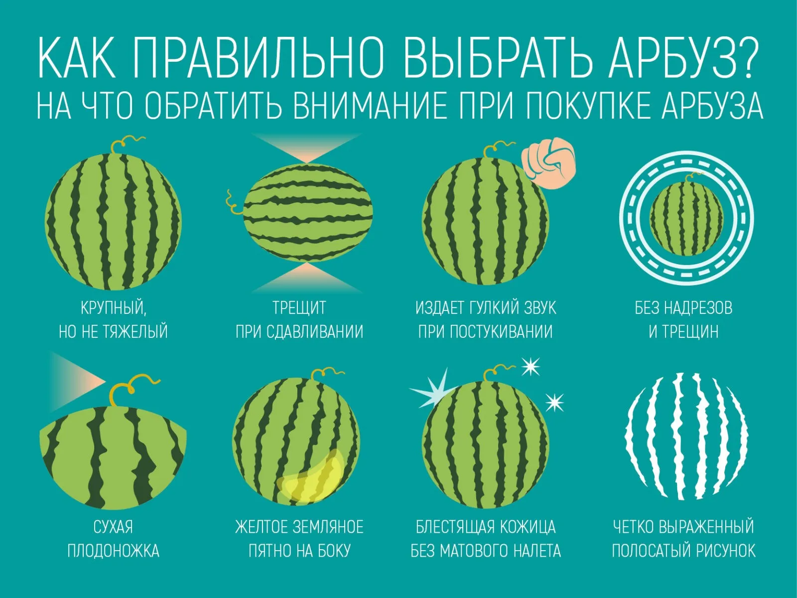 Арбуз Арбузы Кусочки Арбуза - Бесплатное фото на Pixabay - Pixabay Арбуз Арбузы Кусочки Арбуза - Бесплатное фото на Pixabay - Pixabay
