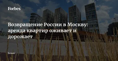 Аренда квартиры: на что обратить внимание при съеме квартиры - Недвижимость  - Журнал Домклик