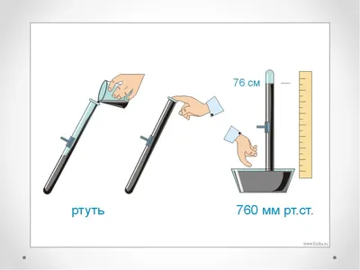 7 класс. Практическая работа №14. Решение задач. - YouTube