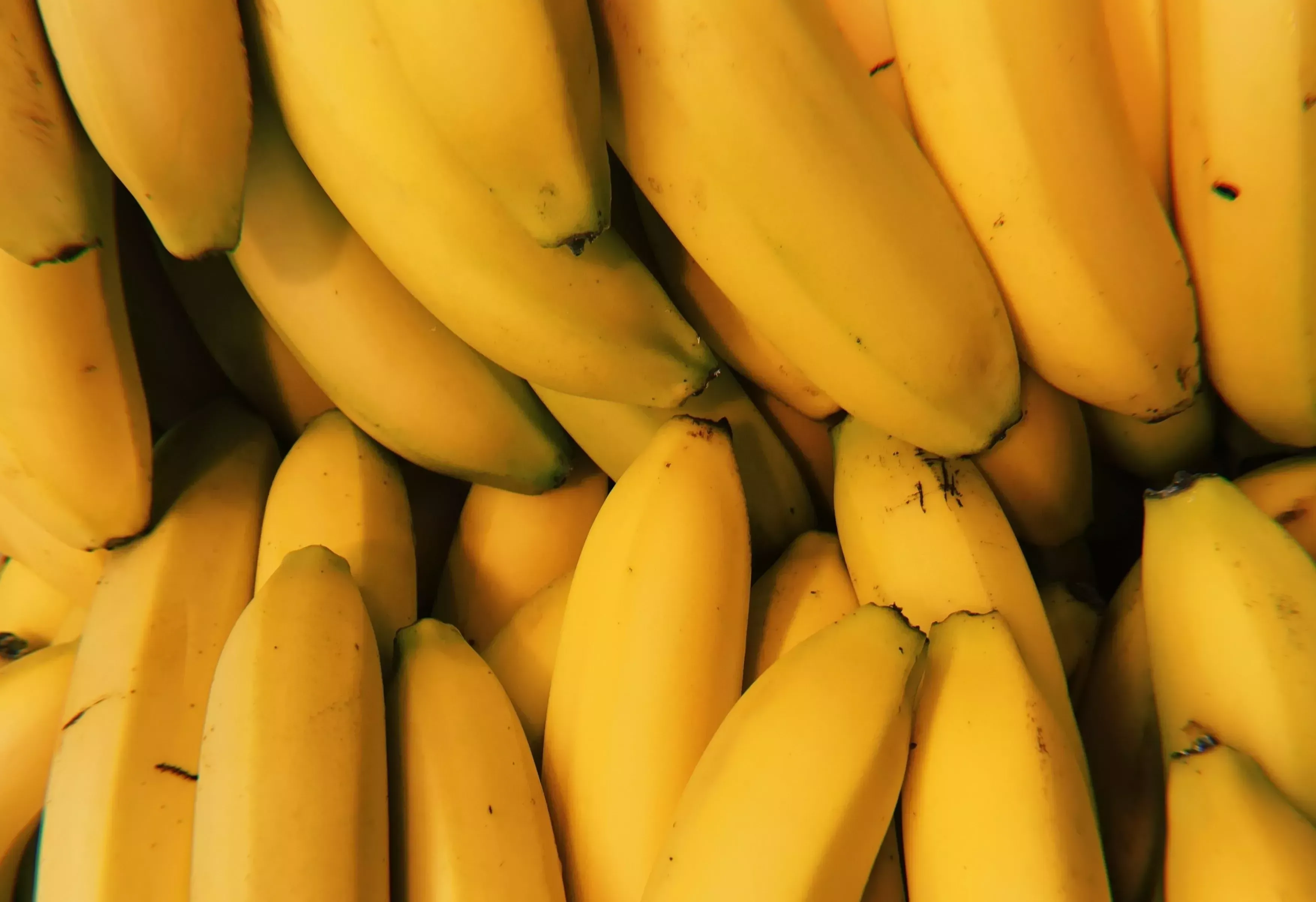 Bananas: Health benefits, tips, and risks Bananas: Health benefits, tips, and risks