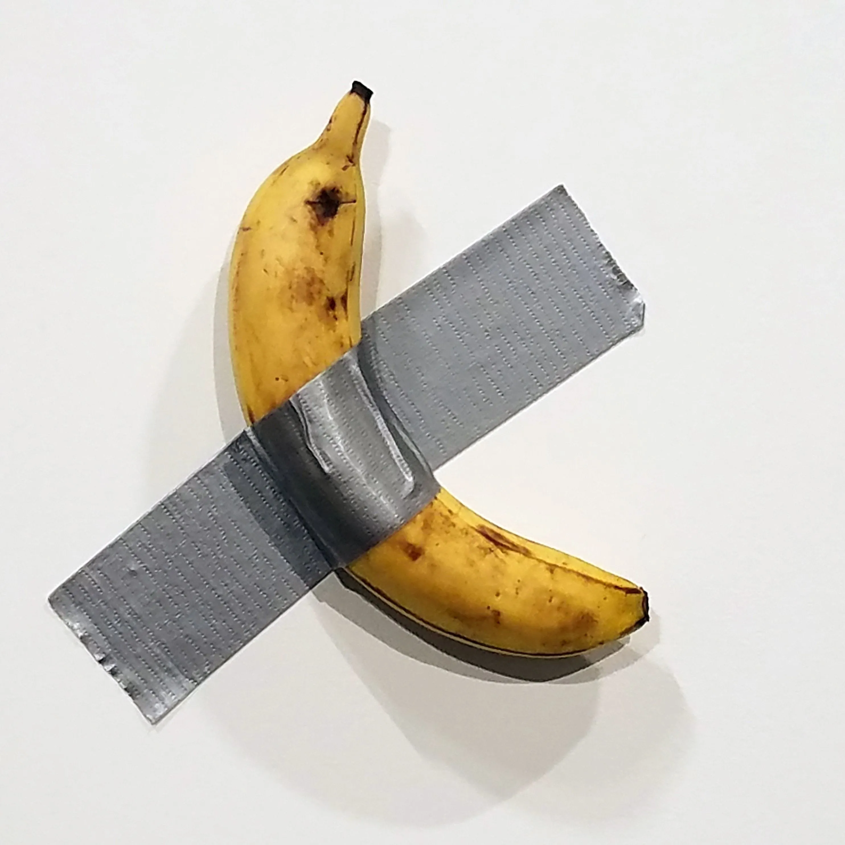 Building A Better Banana | Science| Smithsonian Magazine Building A Better Banana | Science| Smithsonian Magazine