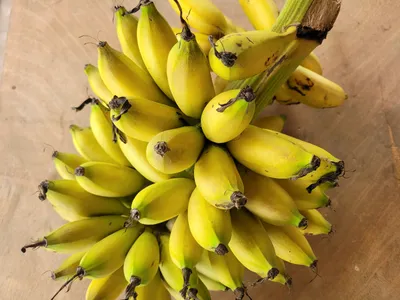 That's Bananas! 🍌 The best way to use bananas at every stage