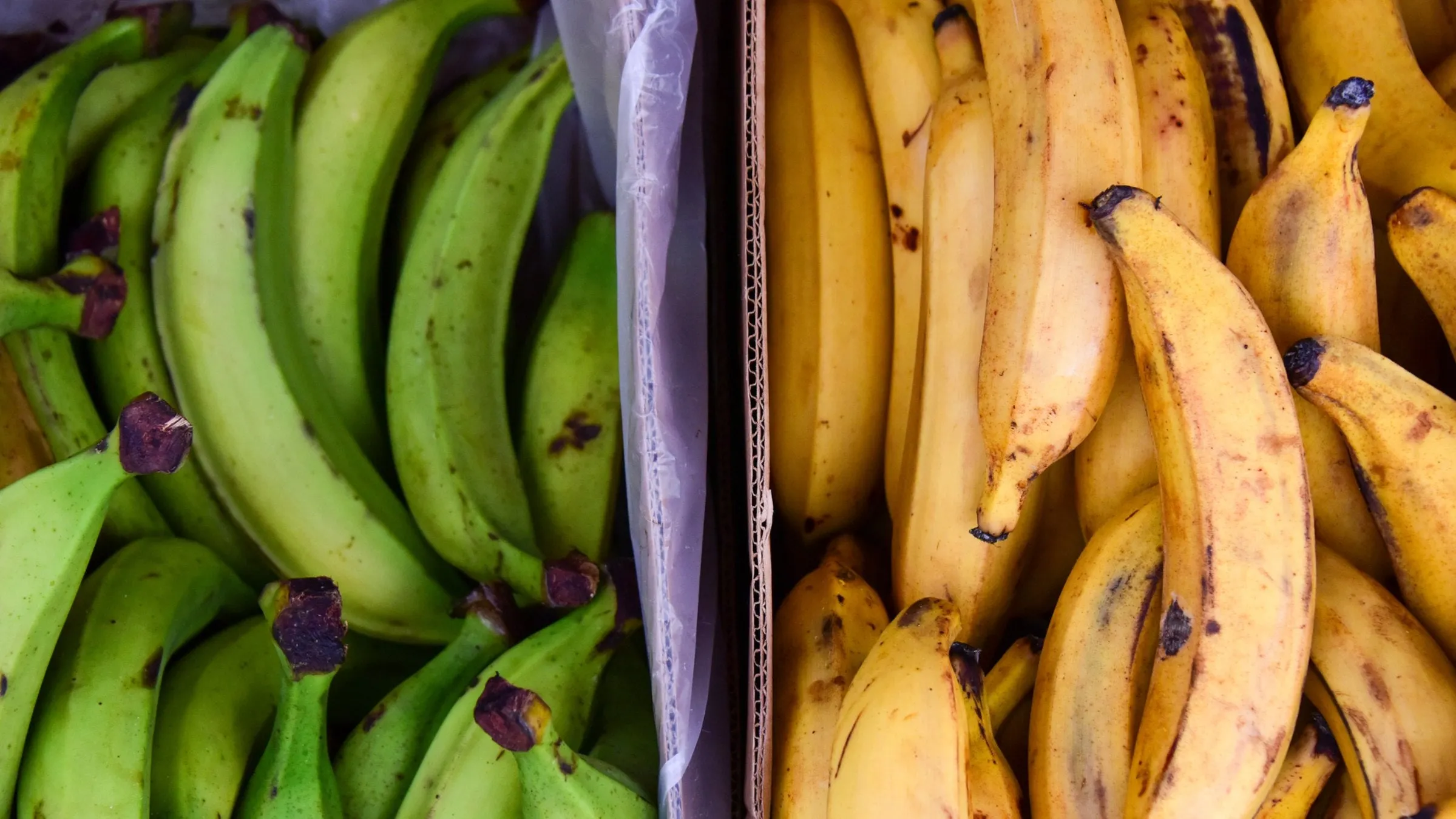 2,000+ Best Banana Photos · 100% Free Download · Pexels Stock Photos 2,000+ Best Banana Photos · 100% Free Download · Pexels Stock Photos
