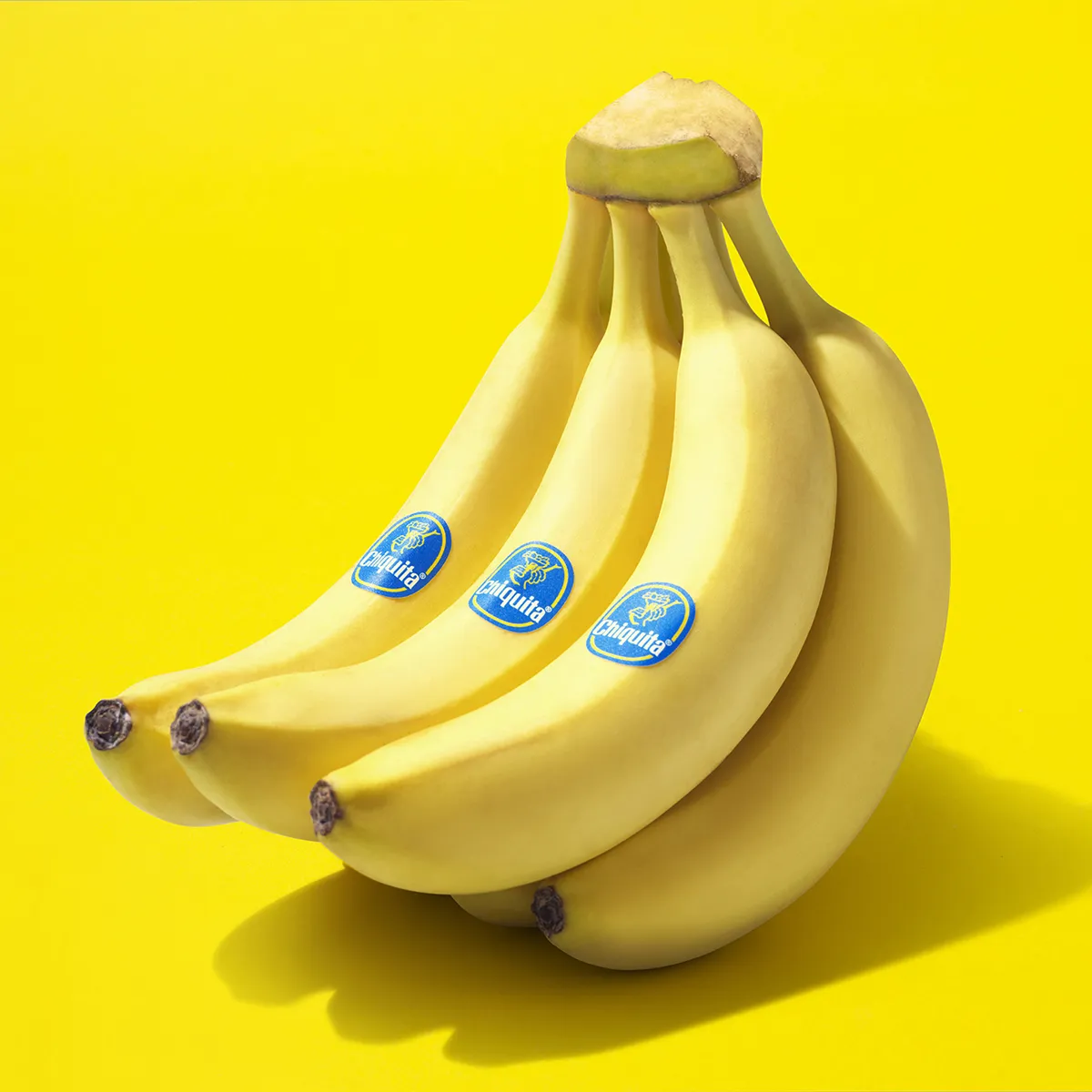 Seeded Banana Box *Pre-Order* – Miami Fruit Seeded Banana Box *Pre-Order* – Miami Fruit