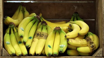 How to keep bananas fresh: Hacks to make the fruit last longer