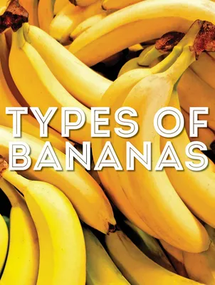 9 Potential Health Benefits of Bananas