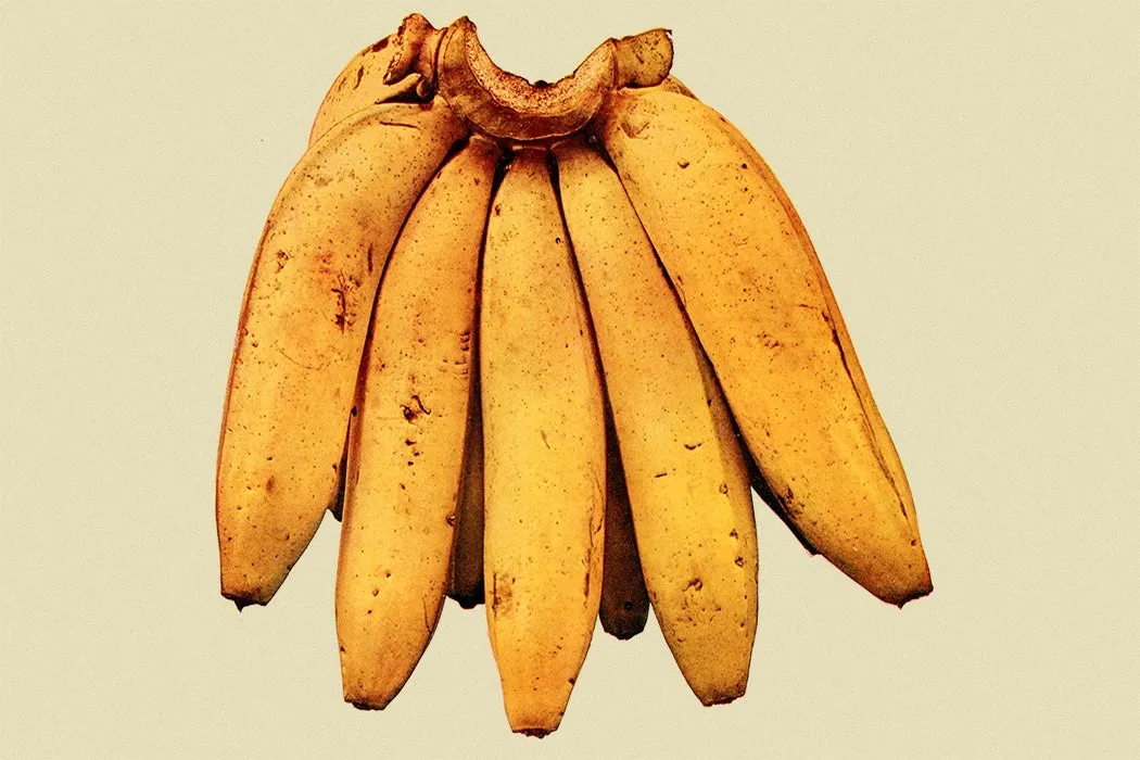 How To Ripen Bananas—Fast!—According to Experts How To Ripen Bananas—Fast!—According to Experts