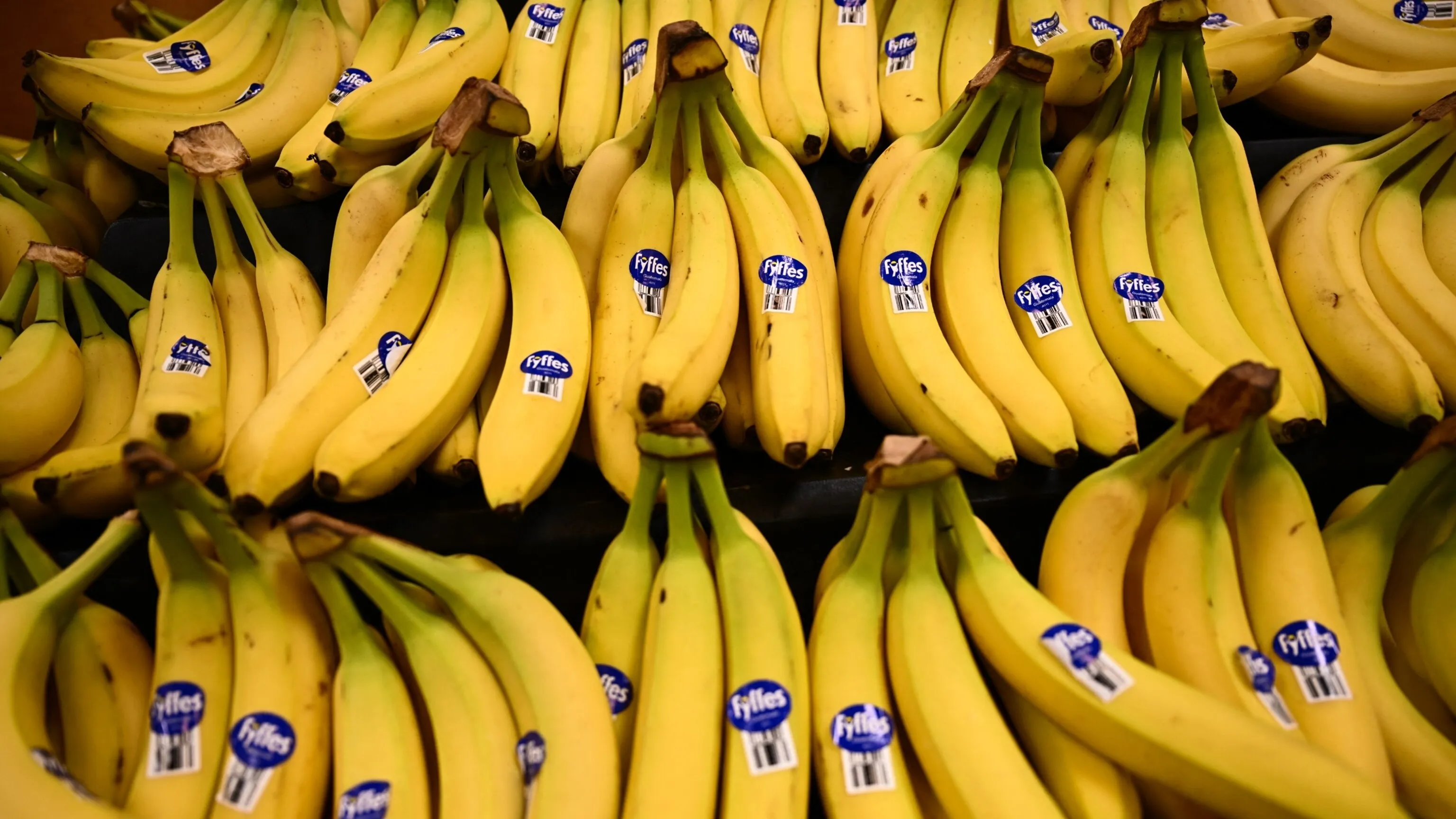 Are Bananas Good for Weight Loss? Science Says No Are Bananas Good for Weight Loss? Science Says No