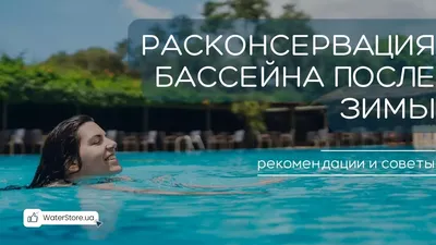 Летний открытый бассейн 500м2, с собственным баром, отдельным детским  бассейном, лежаками и зоной для загара - Борвиха