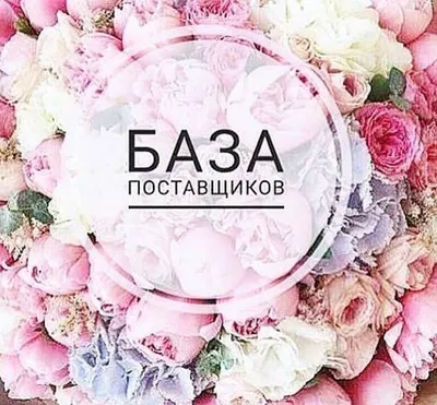 База поставщиков, это большой список... - salakhova.zarina | Facebook