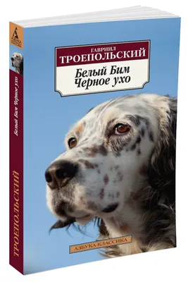 Белый Бим, Чёрное Ухо»: увидят ли его наши внуки? - Мнения Воронежа -