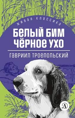 Белый Бим Чёрное Ухо🤍 графический…» — создано в Шедевруме