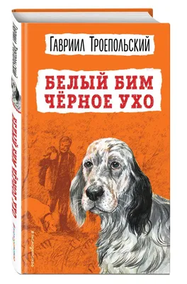 В Воронеже предложили установить памятник автору повести «Белый Бим Черное  Ухо» | 23.11.2018 | Борисоглебск - БезФормата