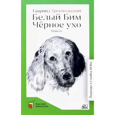 Белый Бим - Черное ухо (1977): купить билет в кино | расписание сеансов в  Санкт-Петербурге на портале о кино «Киноафиша»