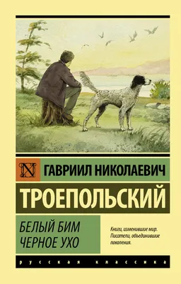 Купить книгу «Белый Бим Черное ухо», Гавриил Троепольский | Издательство  «Азбука», ISBN: 978-5-389-06807-0