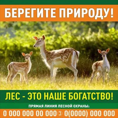 Берегите природу