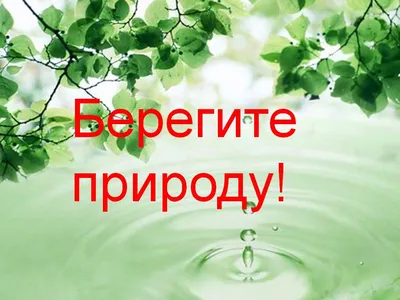 Картинки берегите природу (49 фото) » Юмор, позитив и много смешных картинок