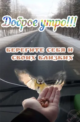 Берегите себя и своих близких | Good morning gif, Good morning, Morning gif