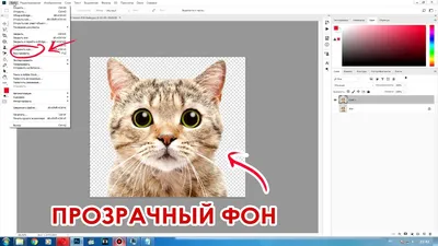 10 сайтов с готовыми PNG-картинками без фона для Фотошопа где скачать  бесплатно | ШКОЛА АРХИТЕКТУРЫ В МОСКВЕ | Дзен