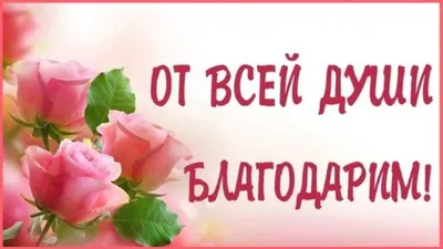 Благодарность родителям \"Универсальная\" текст, золотая рамка, А4 купить в  Чите Награды в интернет-магазине Чита.дети (7817819)