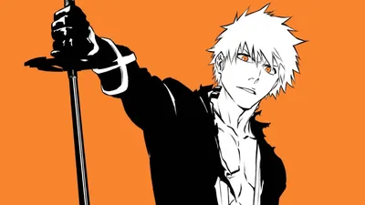 Bleach | ScreenRant