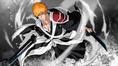 Art of Bleach