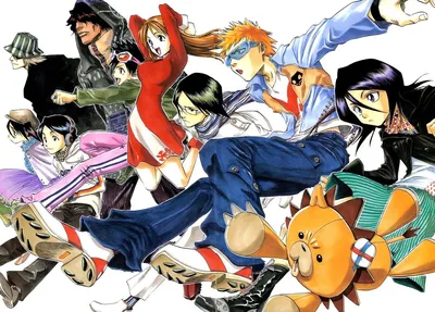 All 'Bleach' Arcs in Order | The Mary Sue