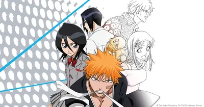 BLEACH: The Official Anime Coloring Book (Bleach: The Official Coloring  Book): VIZ Media: 9781974740918: Amazon.com: Books