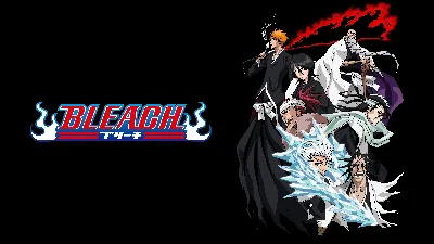 New Bleach Mobile Game Bleach Soul Resonance is Coming Globally in 2024! -  QooApp News