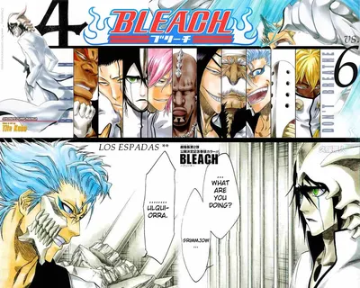 How would you change the Top 3 Espada? : r/bleach