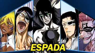 Espada | Darkness within Shadow Wiki | Fandom