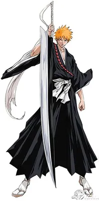 Ichigo Kurosaki - Bleach - Shonen Jump - Tite Kubo - Character profile |  Bleach anime, Bleach manga, Bleach characters