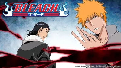 Bleach: Thousand Year Blood War brings the series back better than ever  before