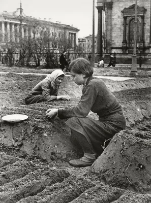 Блокада Ленинграда - История России в фотографиях