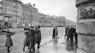 Семь фактов о блокаде Ленинграда — Школа.Москва