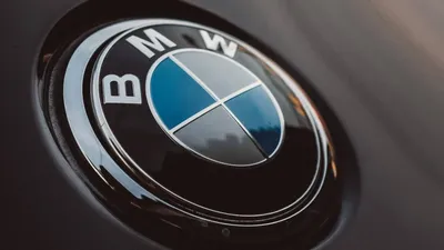 Скачать обои машина, осень, bmw, бмв, номер, черная, раздел bmw в  разрешении 2560x1440