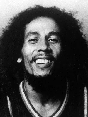 Картина на досках 'Боб Марли. Bob Marley' 30/40 см — купить в  интернет-магазине по низкой цене на Яндекс Маркете