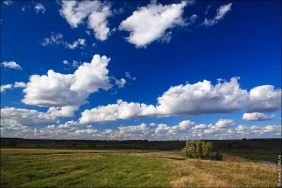 Фотобанк Bfoto.ru фото высокого разрешения