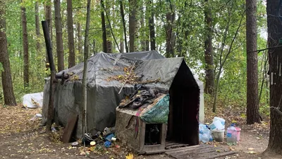 В Белых Берегах подростки защитили от гопника безобидного бомжа | Брянские  новости