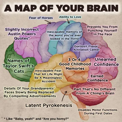 Brain maps uncover individual differences in psychiatric disorders |  BioWorld