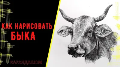 Как нарисовать татуировку быка карандашом поэтапно