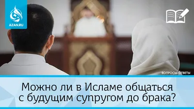 Можно ли давать собаке сыр? - ветклиника \"в Добрые Руки\"