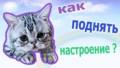 15 привычек жителей разных стран, которые помогут поднять настроение - Блог  «Альпины»