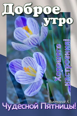 Доброе утро! Чудесной Пятницы! | Доброе утро, Утро пятницы