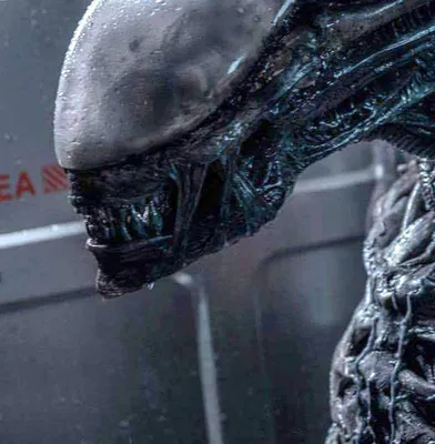 Все части Чужих - обзор всех фильмов серии Чужой (Alien) по порядку с  описанием сюжета | Канобу