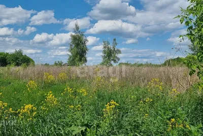 Особенности благоустройства дачных участков. Примеры работ