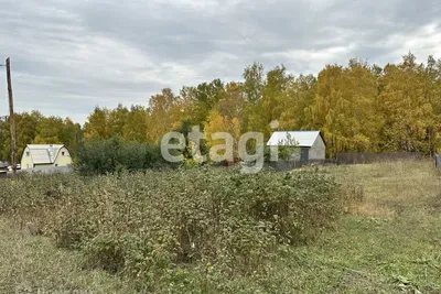 Самые востребованные виды ограждений для дачных участков