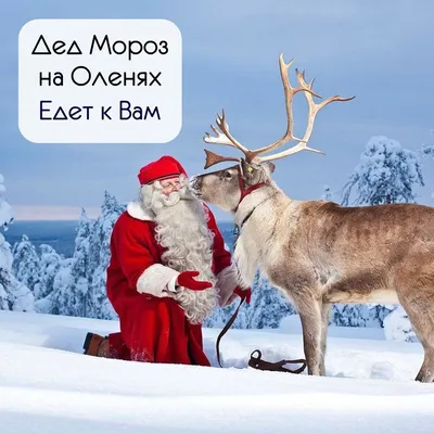 🙌Здравствуй Дедушка Мороз! 🎄 Дед …» — создано в Шедевруме